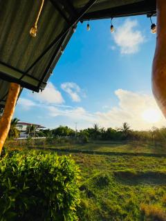 Yala Lakeview Resort - Lion Hotel - 2