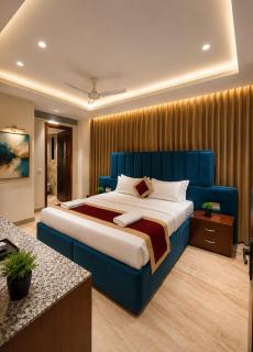 Hotel Gagan Inn Premier 3 star - 5