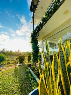 Yala Lakeview Resort - Lion Hotel - 6