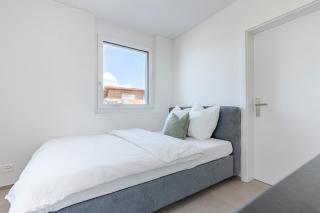 Bluemlisalp Studio - Aare Jungfrau AG - 4