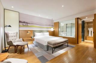 Holiday Inn & Suites Tianjin Downtown by IHG - 1