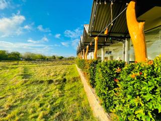 Yala Lakeview Resort - Lion Hotel - 4
