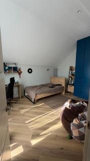 Modern Villa in South Bishkek - 4