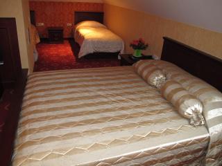 Senoji Hansa Hotel - Palanga - 6