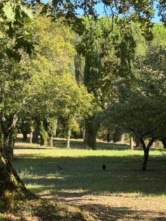 Casabei - 8