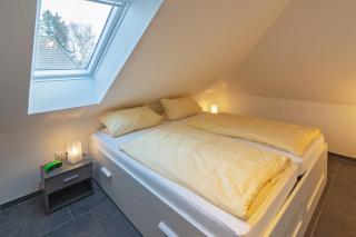 Ferienhaus Lucky mit Haustier für die ganze Familie - 2