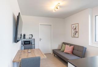 Bluemlisalp Studio - Aare Jungfrau AG - 6