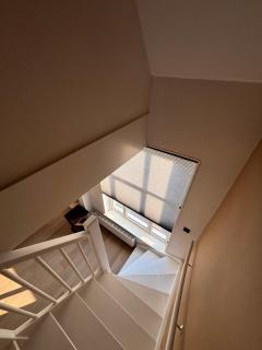 Elysian Yellow Suite - 1
