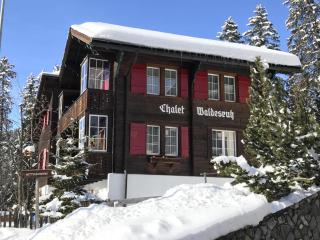 Chalet Waldesruh (3 ZWhg.) - 9