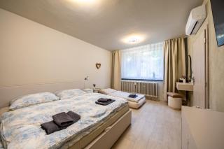 Heart of Mikulov Apartment - 7