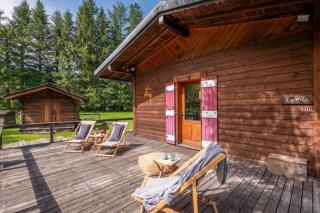 Cocooning small chalet with garden and views - 1