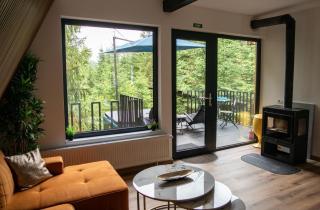 LIRA CHALET by Trei Mandre - 5