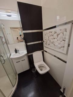 Golden Wroclaw - Widok Apartment - 3