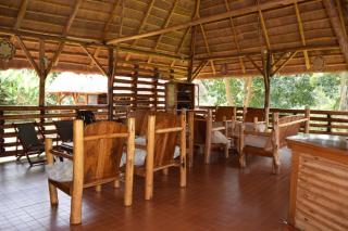 Turaco Trails Tours - 5