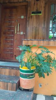 Hari's Homestay - 7