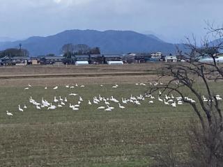 Kohaku - Vacation STAY 20481 - 3
