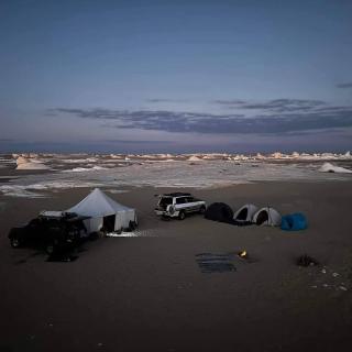 white desert safari camp - 7