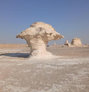 white desert safari camp - 6