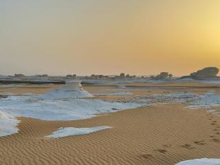 white desert safari camp - 1