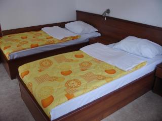 Hotel Kopaonik Lukovska Banja - 2