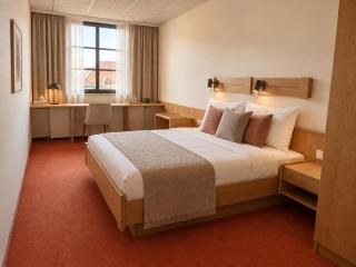 SPRINGBRUNNEN Boutique Hotel - 9