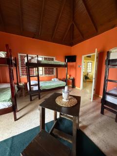 Seaside Jamaican Manor Private Beachfront Access - 3