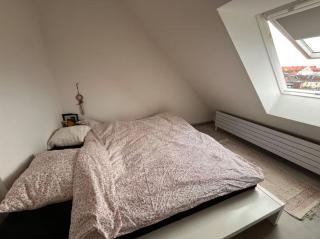 Bright apartment 2 bedrooms 2 bathrooms - 3