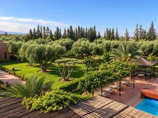 Spacious villa with pool near Marrakech - 5