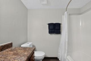 Bright & Comfortable Furnished Apartment - 1