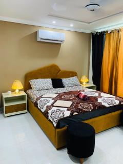 Furnished Luxury Apartment Self Check-in Fast Wifi Free Parking - 5