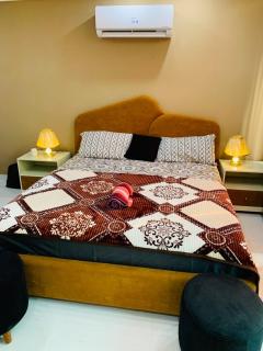 Furnished Luxury Apartment Self Check-in Fast Wifi Free Parking - 4