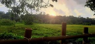The Nature Leaf Villa - 7