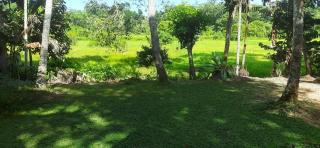 The Nature Leaf Villa - 8