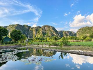 Trang An Lotus Lake Homestay - 9