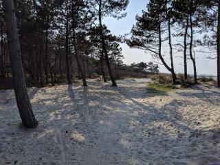 4 star holiday home in Dronningmølle - 3