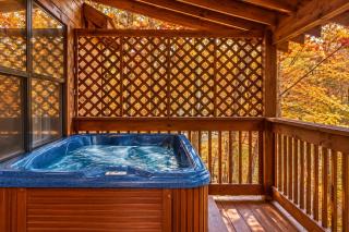 Smoky Mountain Cabin Hot Tub & Forest Views - 9