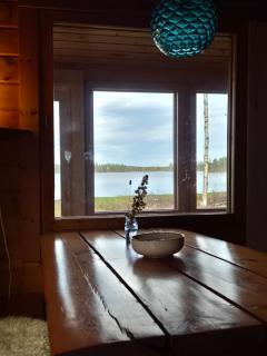 Red Fox Wilderness Cabin & Northern Lights - 4