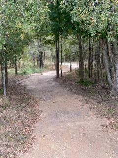 Park Place at Palmetto - 2
