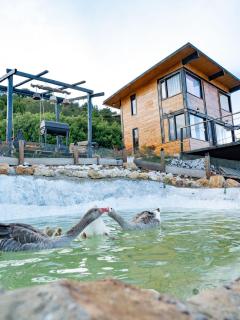 Glamping Isabella - 5