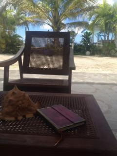 Villa Pelée - Colibri des îles - 8