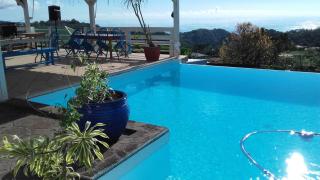 Villa Pelée - Colibri des îles - 9