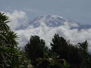 Ameg Lodge Kilimanjaro - Moshi - 3
