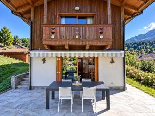 Exclusive Mountain Chalet - Zoncolan & Ski Slopes - 9