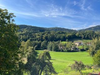 Woidzeit im Graflinger Tal - 3