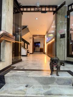 Hotel Villareal Grand - 5