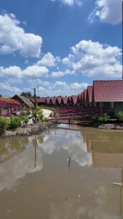 Khu Du Lịch Sinh Thái Trung Thành Đông - 0