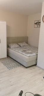 SK apartament - 8
