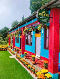 Nest In The Hills - 6
