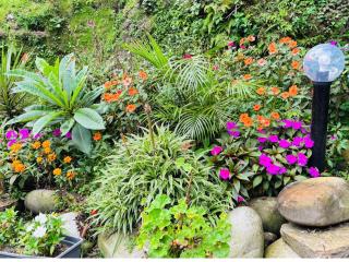 Budhanilkantha Camping - 9