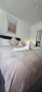 Burton House - 2BR - Sleeps 4 - Flat 1 - 3